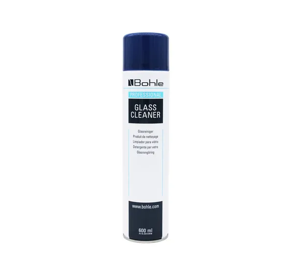 Glass Cleaner Professional, box with 12 cans
