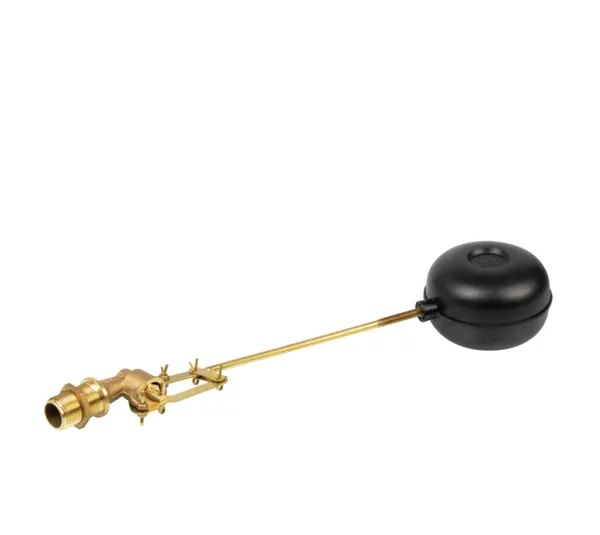 Flotteur pour réservoir d'eau