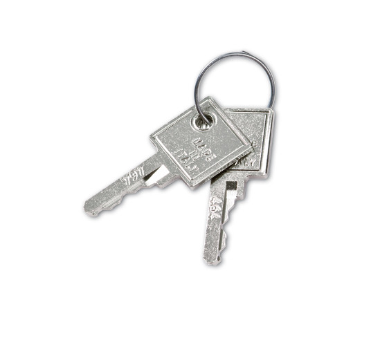 Spare Key for Glass Door Lock